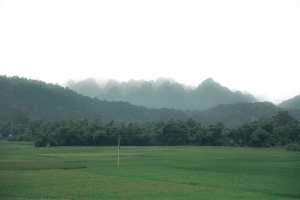 Galerie 1710176144 #6