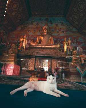 Galerie 1710176144 #10